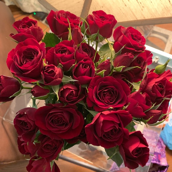 Meet your Posher, Ligia - Picture 1 of 1